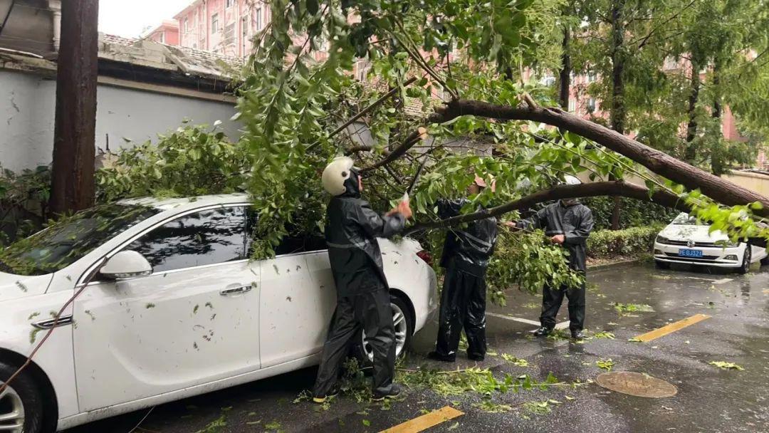上海绿地球队状态神勇，全力迎战强敌
